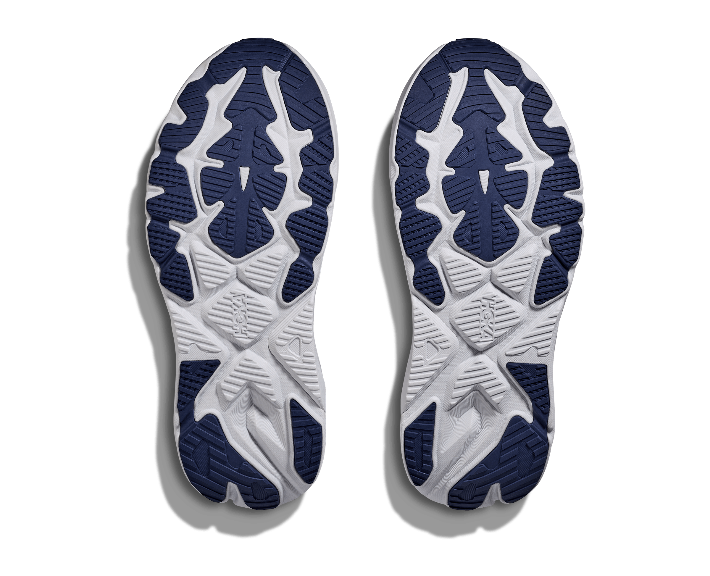 Shop HOKA Performance Running Footwear in Singapore | Island Run Club Clifton Bondi Gaviota Arahi Speedgoat Skyflow Skyward