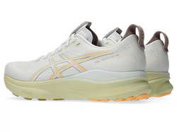 Shop Asics Performance Running Shoes in Singapore | Island Run Club Nimbus Kayano GT2000 Novablast Superblast Metaspeed
