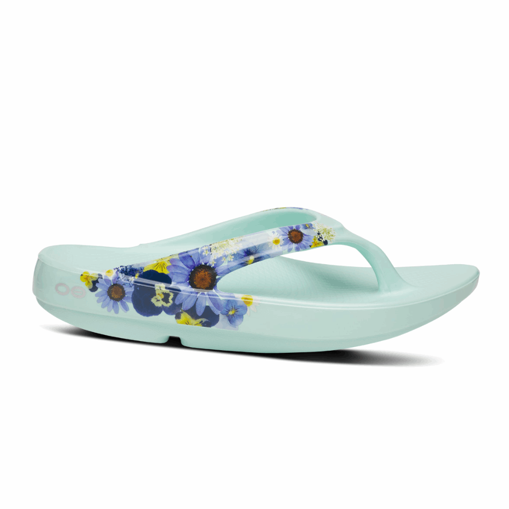 Shop OOFOS: Comfortable Recovery Footwear, Sandals, Shoes, Slides in Singapore | Island Run Club OOriginal Ooahh